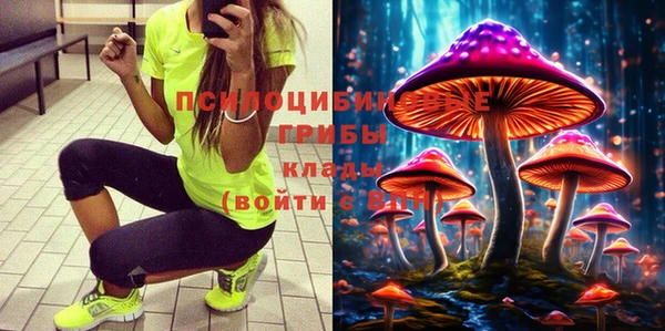 кокаин перу Богданович