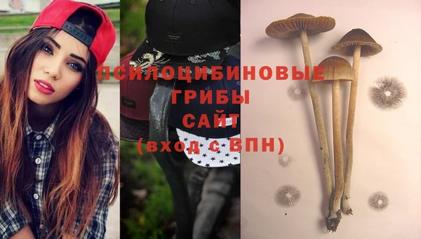 мдпв Белокуриха
