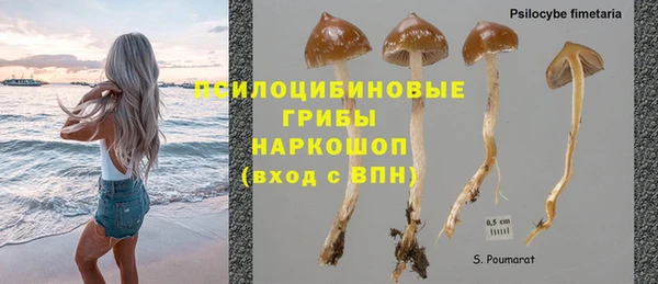 бутират Богородск
