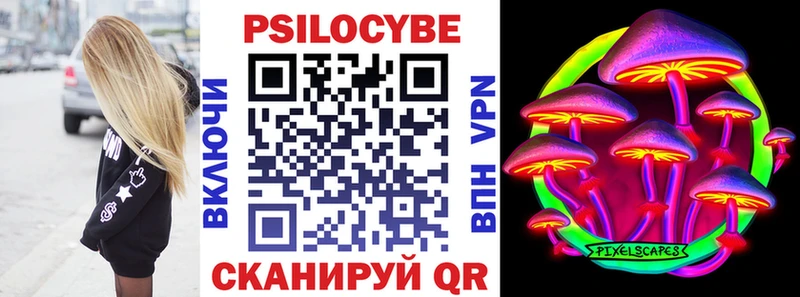 сколько стоит  Павловск  Псилоцибиновые грибы Psilocybine cubensis 